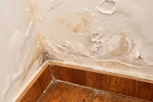 Reparacion de Humedades Top Tejados Guipuzcoa